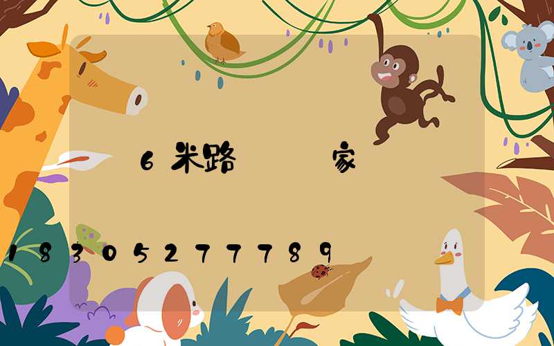 6米路燈 廠家